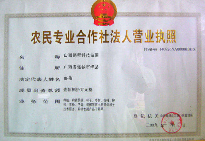 山西鵬程科技苗圃