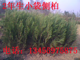 劉長地（個體經營）