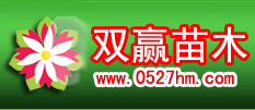 江蘇雙贏苗木綠化公司