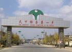 山東郯城長(cháng)春園銀杏苗木基地