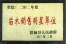 中國銀杏貿易