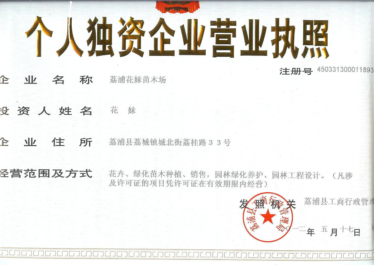 廣西花妹苗木