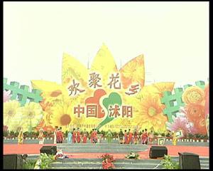 沭陽縣康誠花卉苗木場