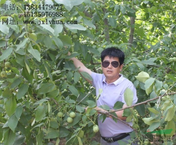 山西絳縣園林綠化工程公司