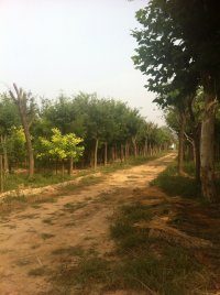 鄆城縣唐建彬（個(gè)體經(jīng)營）