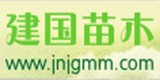 濟寧建國苗木基地