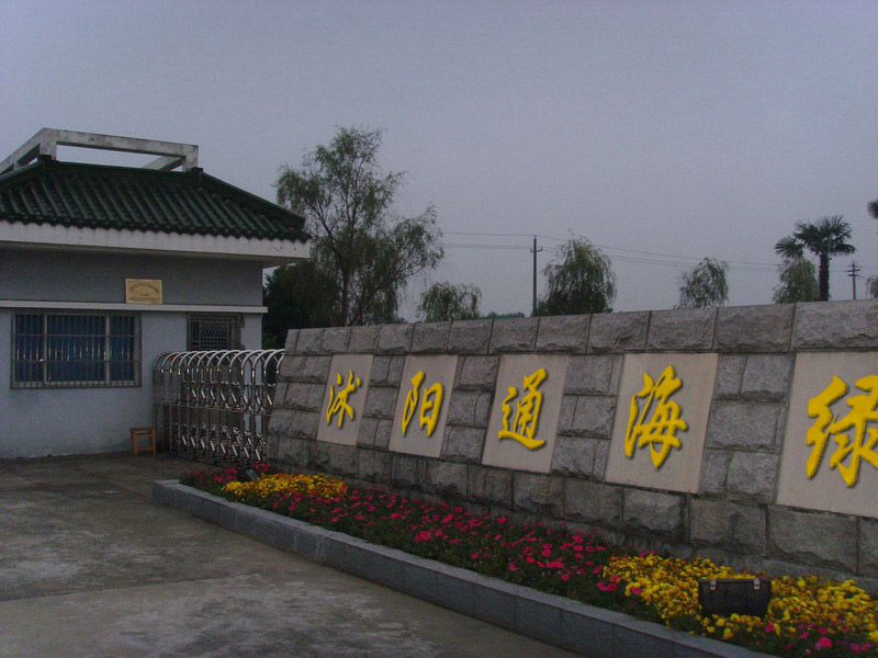沭陽縣通海綠化苗木場