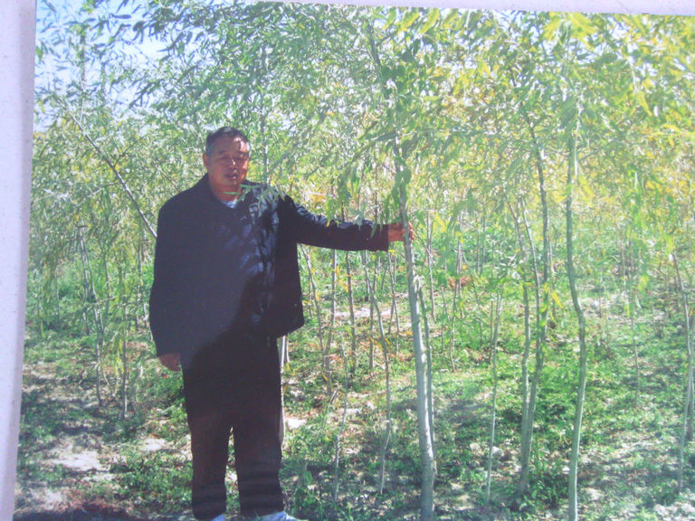 內(nèi)蒙古巴彥淖爾綠源林業(yè)基地