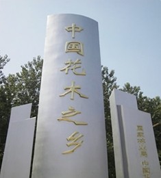 江蘇省沭陽(yáng)縣華潤(rùn)園林綠化苗木場(chǎng)