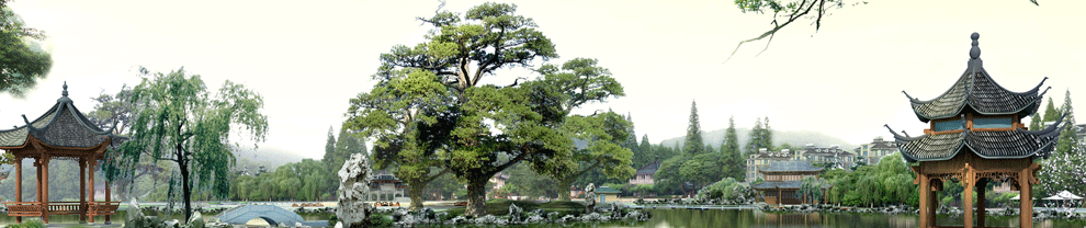 廣東揭陽(yáng)緣集綠化移植苗木場(chǎng)