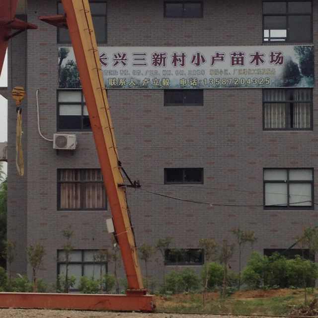 長興三新村小盧苗木場
