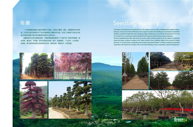 廣東美樺建設(shè)有限公司