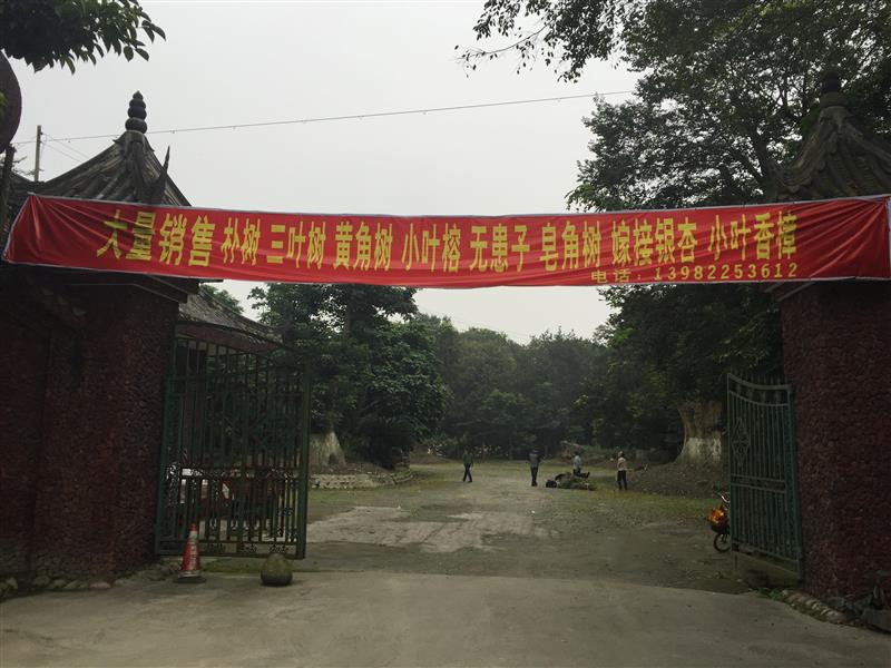 成都鑫林園藝有限責(zé)任公司