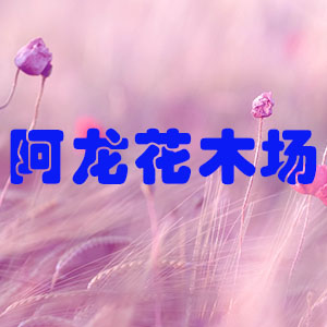 寧波市鎮(zhèn)海區(qū)駱駝街道阿龍花木場(chǎng)