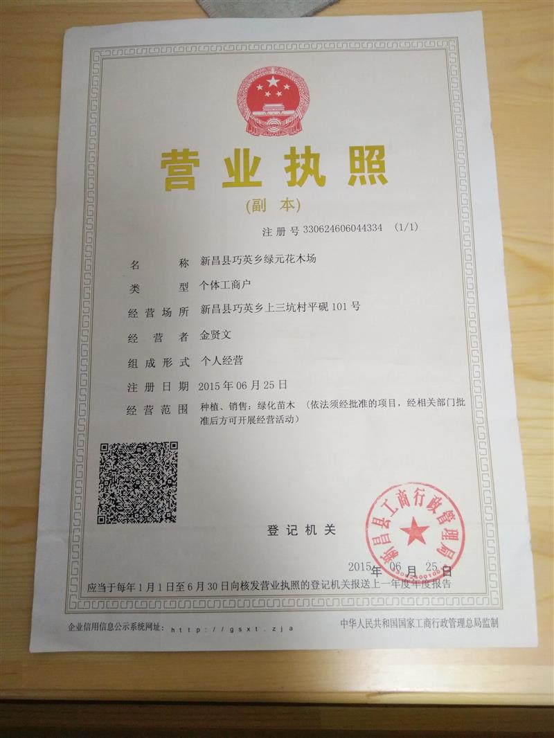 新昌綠元紅豆杉基地