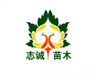 山東省濟(jì)寧市志誠苗木種植基地