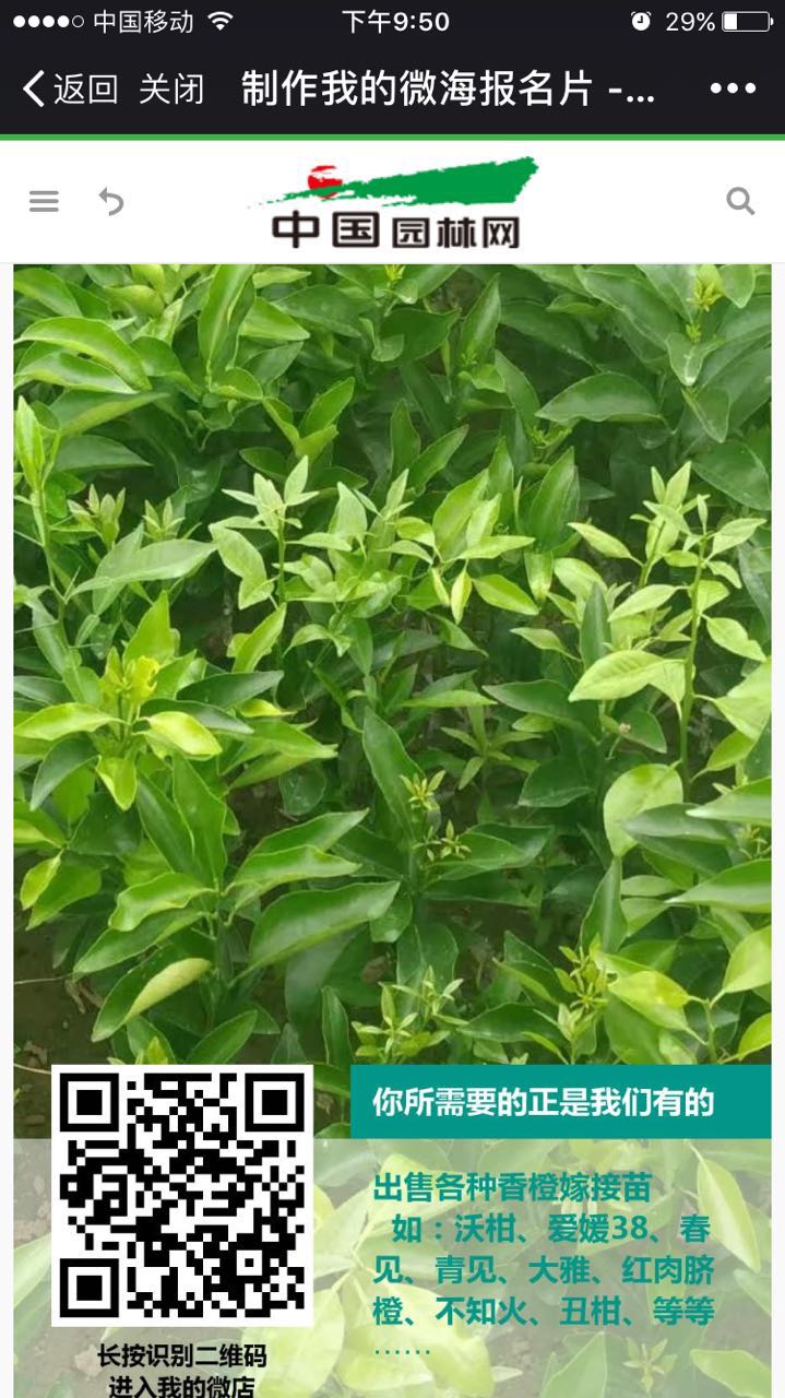 林勇（個(gè)體經(jīng)營(yíng)）