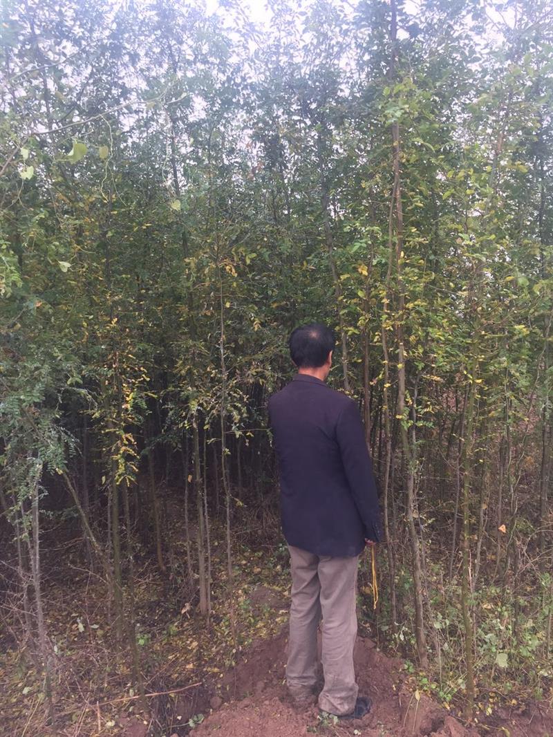 蔣翀（個(gè)體經(jīng)營(yíng)）