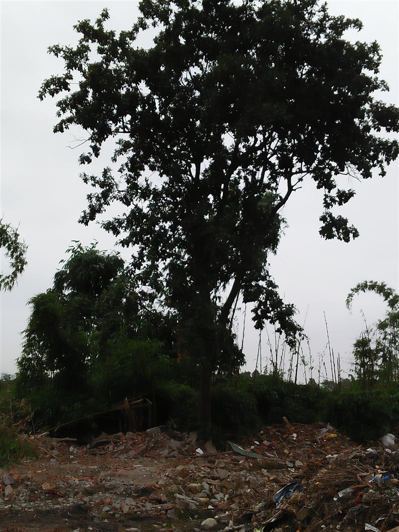 鐘先芬（個(gè)體經(jīng)營）
