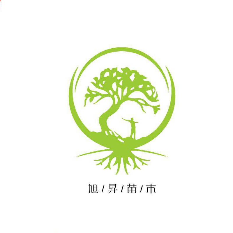 長(zhǎng)興泗安旭昇苗木場(chǎng)