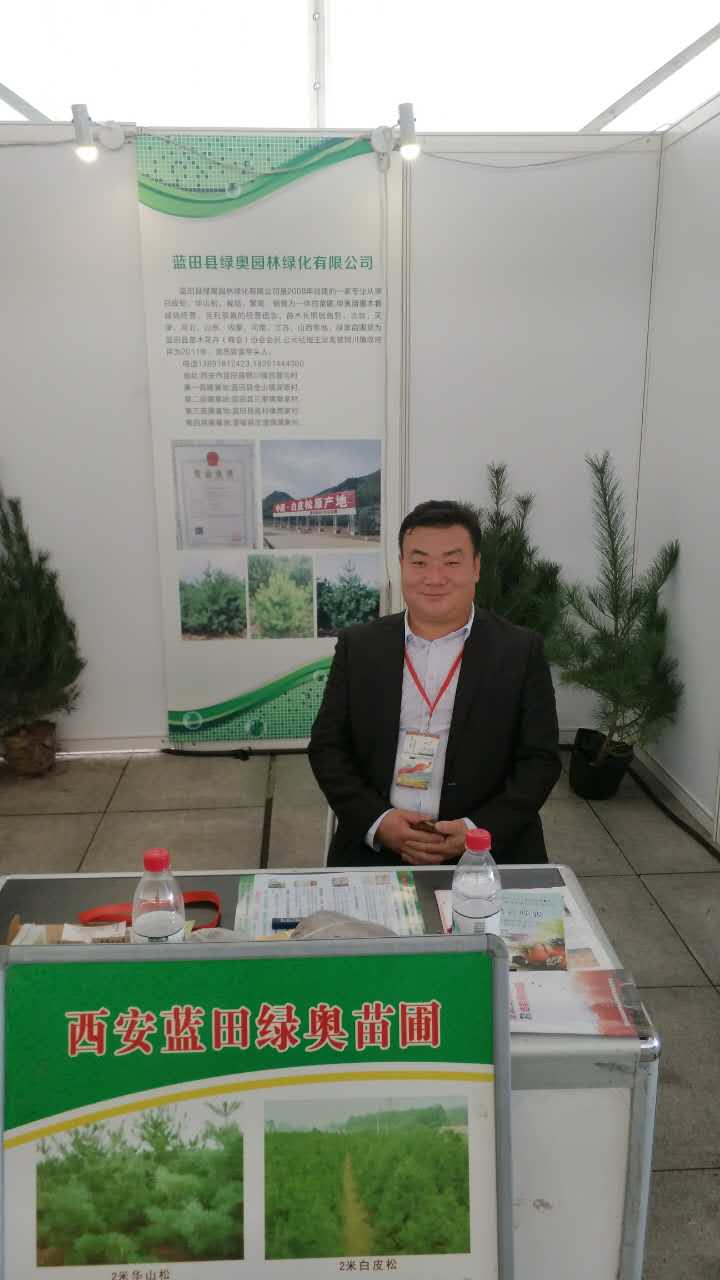 藍田縣綠奧園林綠化有限公司