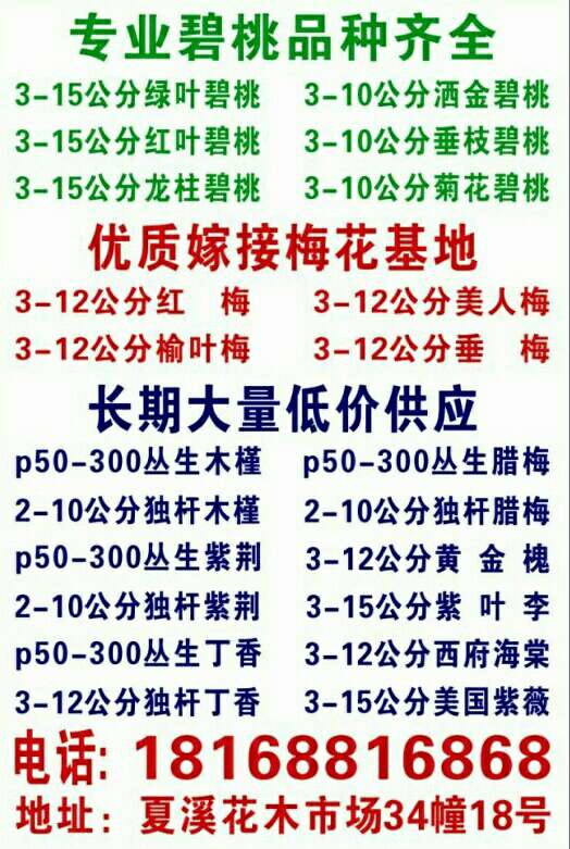 江蘇省沃豐園林苗木場