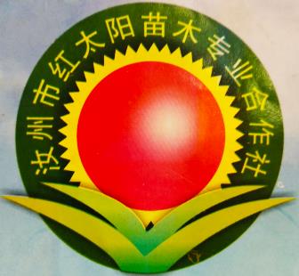 汝州市紅太陽(yáng)苗木專(zhuān)業(yè)合作社