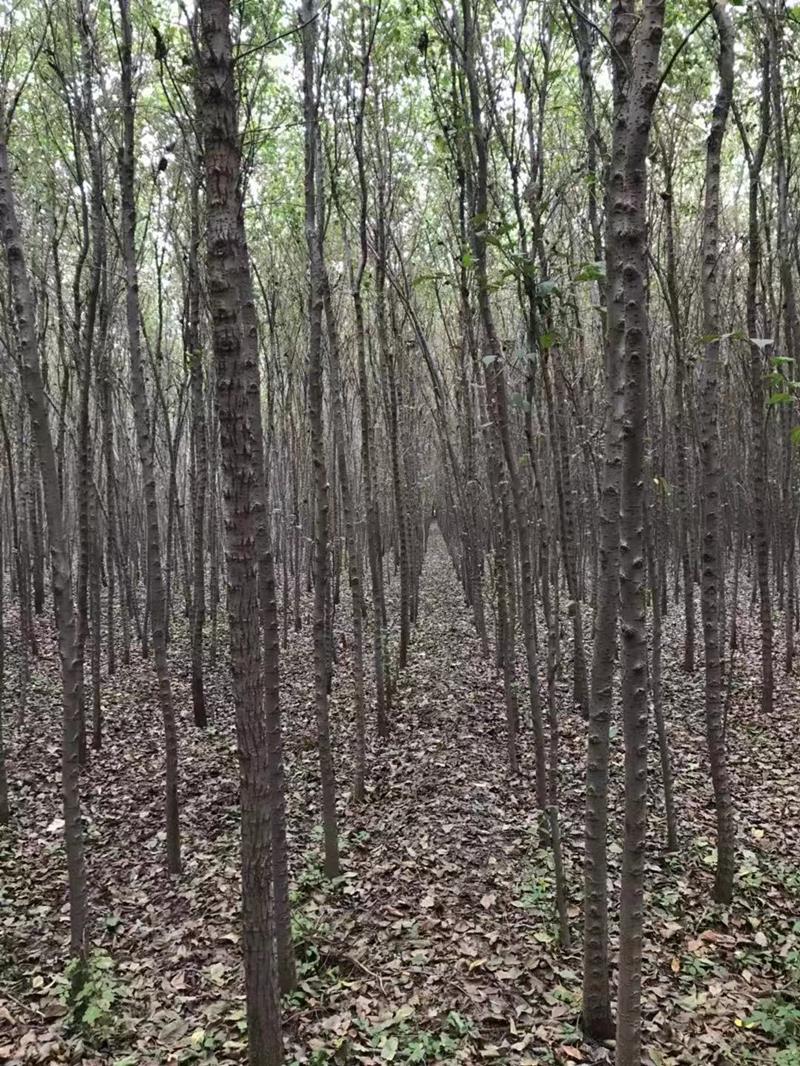 范慶福（個(gè)體經(jīng)營）