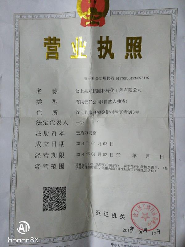 汶上縣東鵬園林綠化工程有限公司