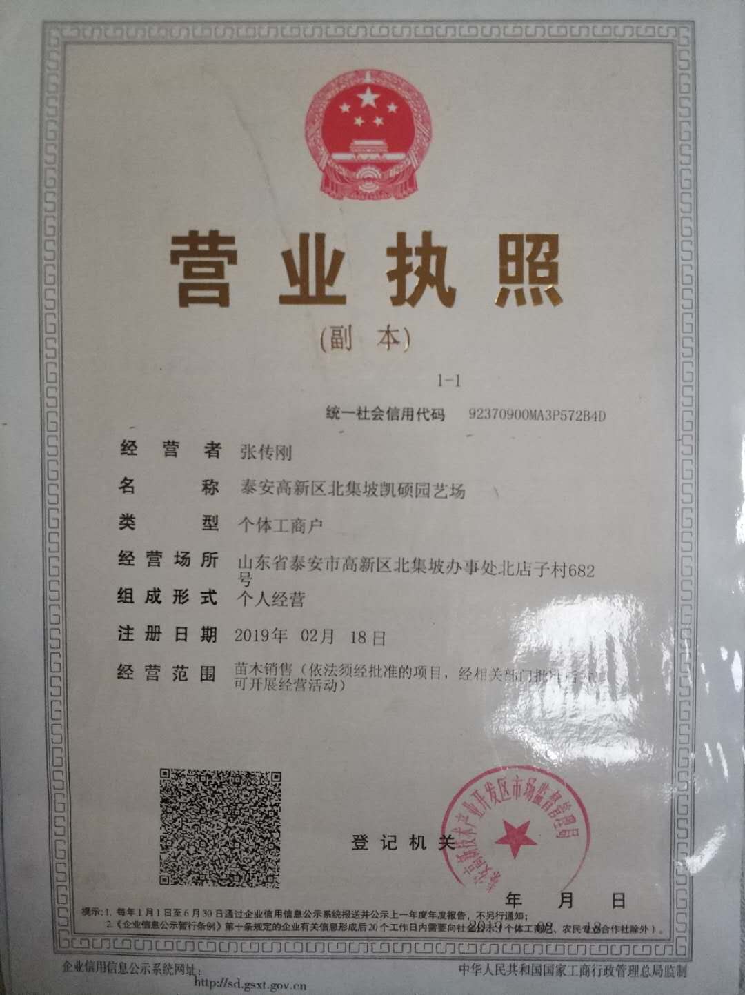 泰安高新區(qū)北集坡凱碩園藝場