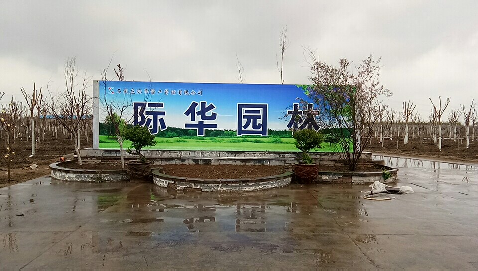 石家莊際華資產(chǎn)管理有限公司