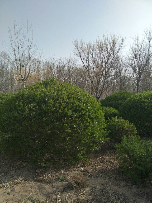 王同德(個體經(jīng)營)
