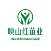 青島大珠山映山紅苗業(yè)發(fā)展有限公司