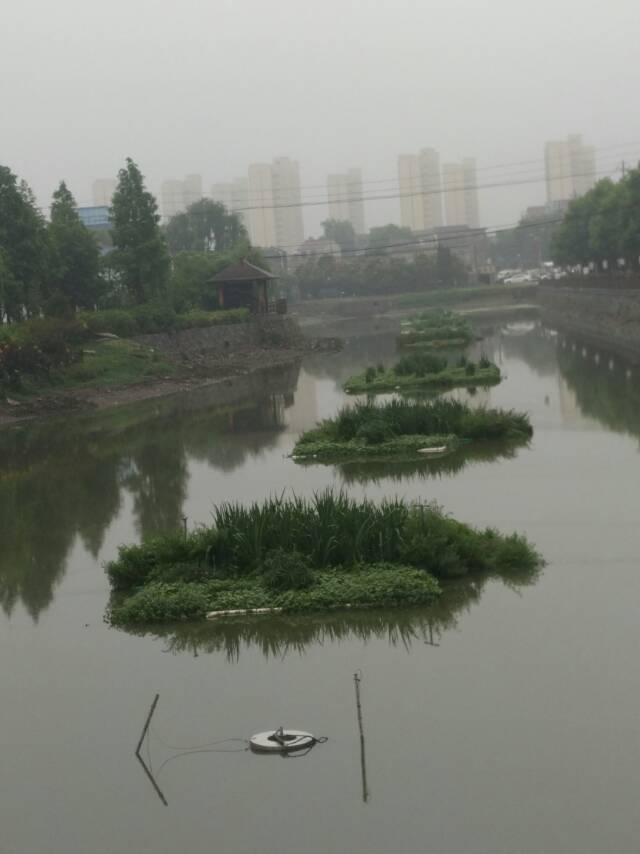 志平苗木種植園