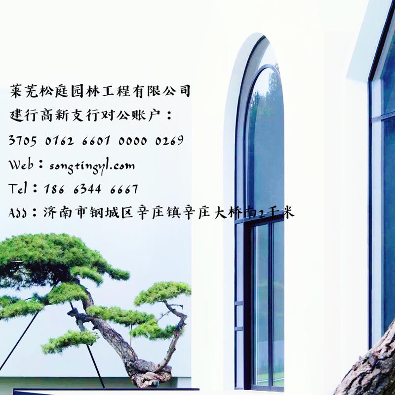 山東省松庭園林工程有限公司