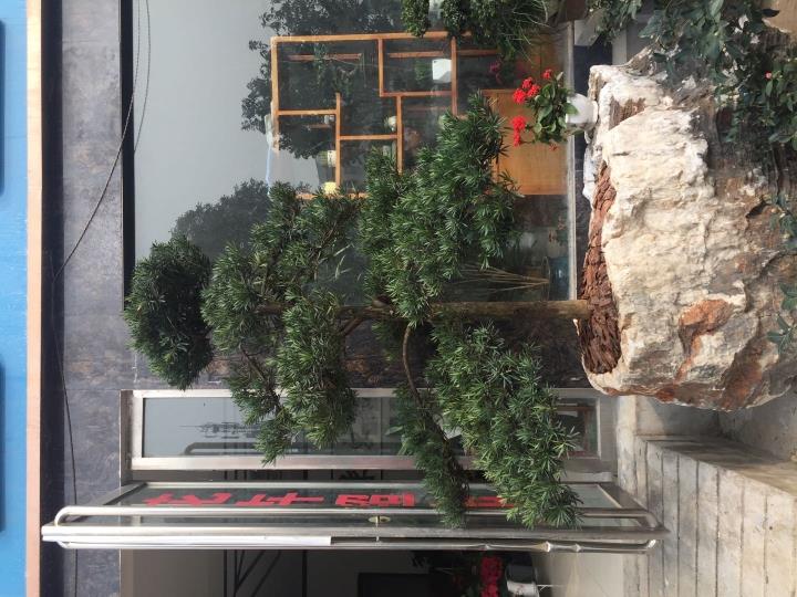 內(nèi)鄉(xiāng)縣東匯紫園林有限責(zé)任公司