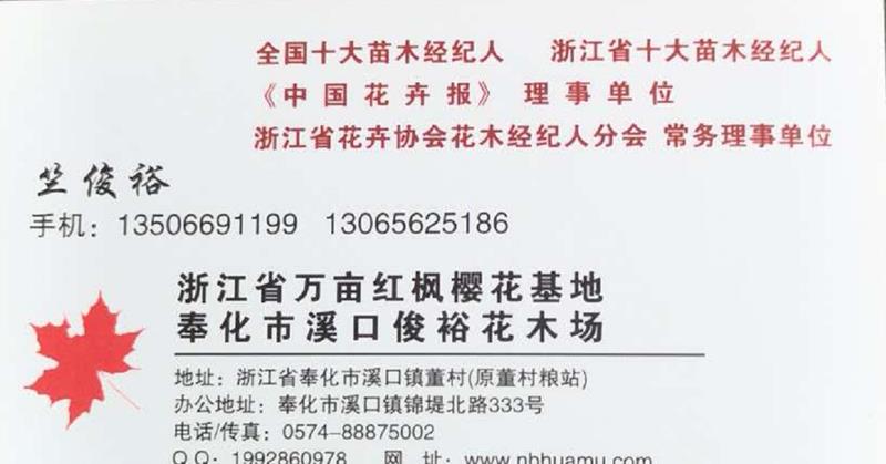 浙江省寧波奉化市溪口鎮(zhèn)俊?；緢?>浙江省*紅楓櫻花基地位于*AAAAA*風景名勝區(qū)，集中國紅楓之鄉(xiāng)，中國櫻花之鄉(xiāng)，中國五針松之鄉(xiāng)于一體,苗木種植已有上百年歷史的寧波市奉化區(qū)溪口鎮(zhèn)。以自產自銷的經營方式，利用雄厚的技術優(yōu)勢和得天獨厚的資源優(yōu)勢，長年向*提供品質優(yōu)良、價格優(yōu)惠的苗木。
<br/>本基地苗木品種規(guī)格*，其中：紅楓、櫻花、雞爪槭、桂花、茶花、羽毛楓、赤楓、五針松、垂絲海棠、紅梅、白玉蘭為優(yōu)勢特色苗木，另外羅漢松、茶梅、紅葉李、樂昌含笑、青楓等也數(shù)量眾多。
<br/>本基地堅持“質量*、信譽*”的宗旨，做自己有優(yōu)勢的產品，向社會各界推出各類優(yōu)質苗木，竭誠歡迎廣大新老客戶來我基地考察、指導、洽談訂購！
<br/>浙江省*紅楓櫻花基地是《中國花卉報》理事單位，浙江省花卉協(xié)會花木經紀人分會常務理事單位，總經理  竺俊裕榮獲*十大苗木經紀人，浙江省十大苗木經紀人等眾多*稱號。
<br/>地址：浙江省寧波市奉化區(qū)溪口鎮(zhèn)武嶺東路266號
<br/>聯(lián)系人：竺俊裕
<br/>郵編：315502
<br/>電話、傳真：0574-88875002
<br/>手機：13506691199    13065625186
<br/>E-Mail:nbhuamu@huamu.cn
<br/>
<br/></p>
                    <table>
                        <tr>
                            <td class=