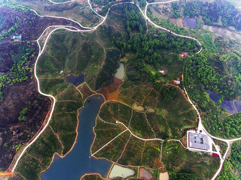 信陽市七龍山生態(tài)農(nóng)業(yè)發(fā)展有限公司