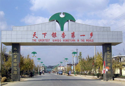 臨沂市興魯苗木有限公司
