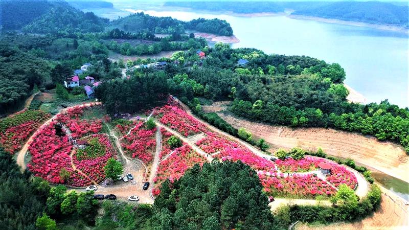 安吉百嘉園林工程有限公司