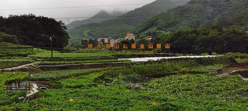 莆田市萬興園林基地農(nóng)民專業(yè)合作社