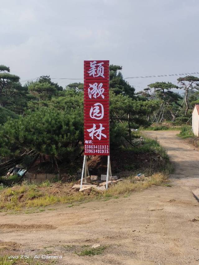 濟(jì)南市穎灝園林綠化工程有限公司