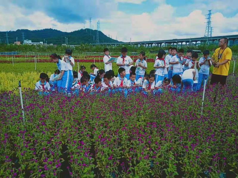 中山市香印園藝花木經(jīng)營(yíng)部