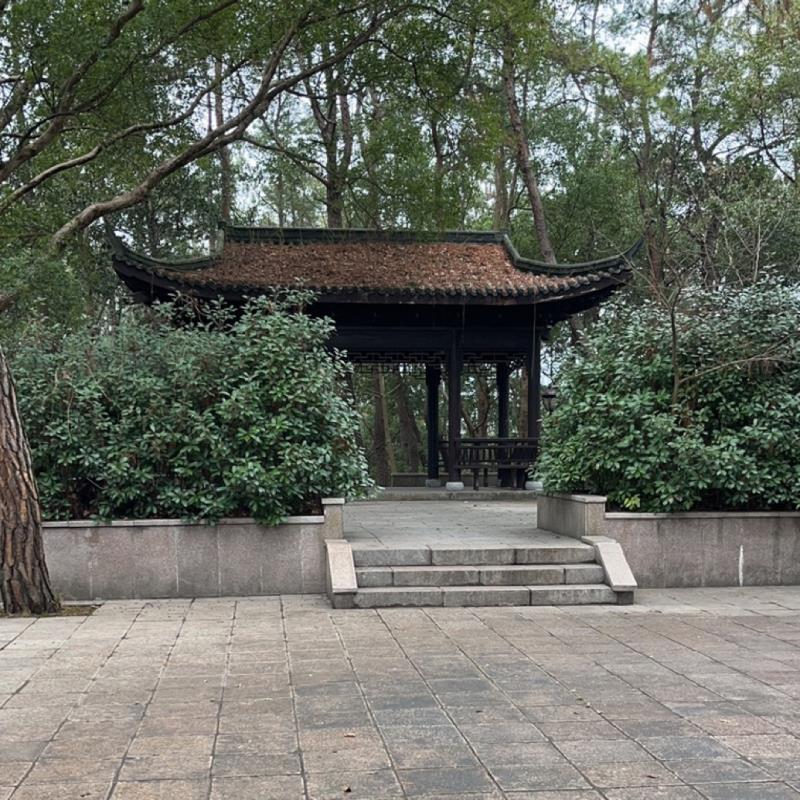 武進區(qū)湟里佳文苗木經(jīng)營部