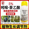 5%吲哚萘乙酸苗木扦插移栽生根剂