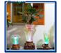 水培容器、水培花卉花瓶、水培玻璃花瓶