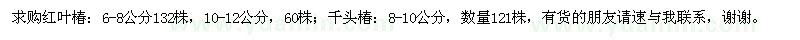 求购红叶椿、千头椿