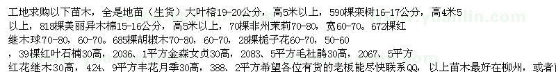 求购大叶榕 栾树 美丽异木棉 非州茉莉 胡椒木 红继木球 栀子花 红叶石楠 毛杜鹃等苗木