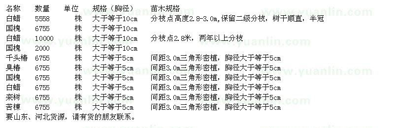 求购白蜡、国槐、千头椿、臭椿、栾树、苦楝