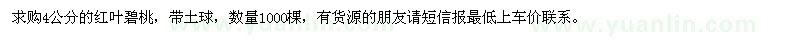 求购4公分红叶碧桃1000棵